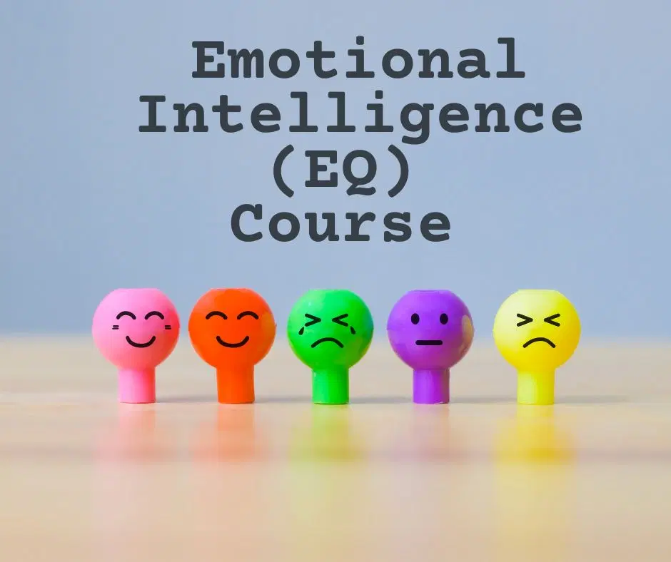 Emotional Intelligence Course